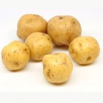 papacriolla papacriolla